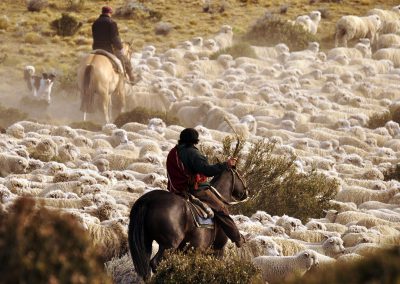 Gauchos en Patagonie