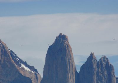 Torres del Paine et condors