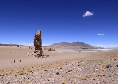 Altiplano, "El Guardian del desierto" à l'entrée de la réserve nationale Los Flamencos (©PhilippeFilliatre AFA-2015)
