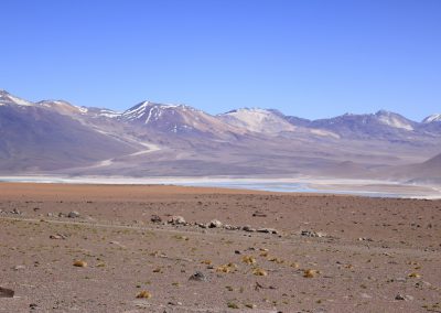 Laguna Verde et cordillère des Andes (©PhilippeFilliatre - AFA Nov. 2015)