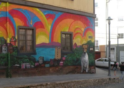 Au Chili le chien est roi (photo Lise Conod AFA-2017)