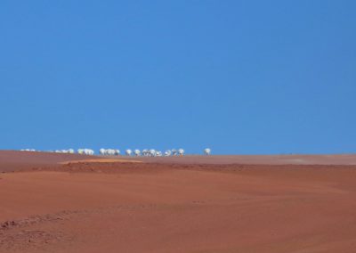 Journée dans l'Altiplano, arrêt sur la route pour aperçevoir les antennes ALMA (photo Andy Strappazon AFA-AstroclubVega 2016)