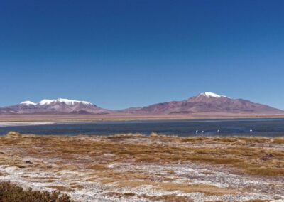Le lac de Tara, flamands et au fond à droite le volcan tripartite Zapaleri (5.653m) Bolivie-Argentine-Chili (©JMDK AFA-2018)