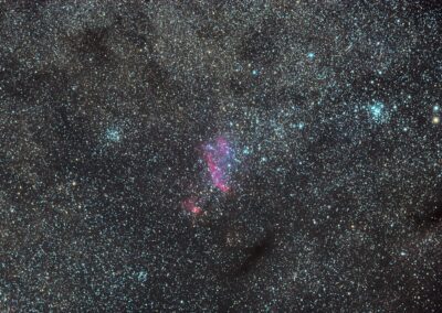 The Prawn Nebula (Gauthier Vasseur AFA-Éclipse 2019)