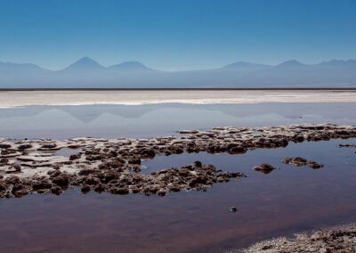 Lagune, lac salé et cordillère des Andes (OZuntini AFA-2018)