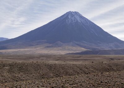 Incursion into the Altiplano & 1st acclimatization 9.842f facing "Don Licancabur" with caravan of llamas (Luc Jamet)
