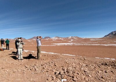 A little further on, stop to see the ALMA antennas (DS)