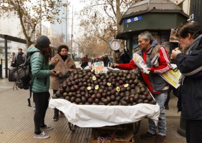 "Las ricas paltas" (the good avocados) 0,9 $ per lb (L.Jamet AFA-Eclipse 2019)