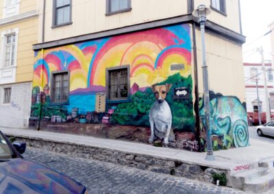 Le chien de la rue est bien aimée à Valparaíso (©JMDK AFA-2018)